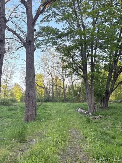 1441 Sturgeon Point Rd, Evans, NY 14047