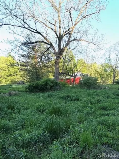 1441 Sturgeon Point Rd, Evans, NY 14047 photo 2