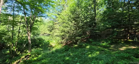 00 Route 78 98, Java, NY 14082 photo 18