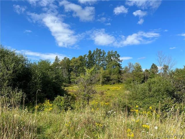 40 Northridge Dr, Arcade, NY 14009