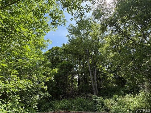 11557 Mill St, Hume, NY 14536
