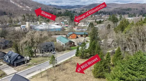 48 Mill St, Ellicottville, NY 14731