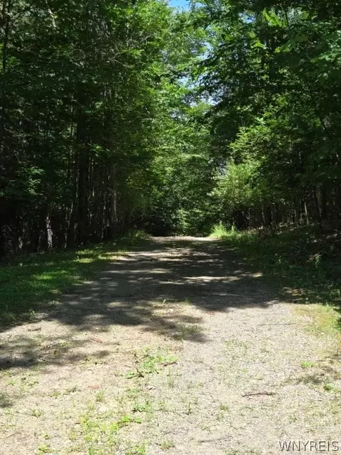 Other - 5351 Middle Rd, Bath, NY 14810 photo 7 of 17