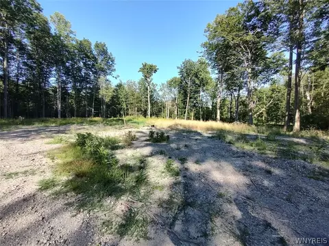 beach road, Evans, NY 14006 photo 4