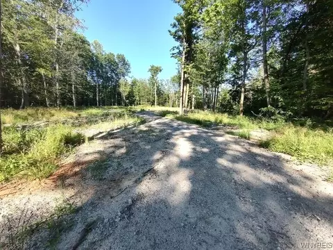 beach road, Evans, NY 14006 photo 5