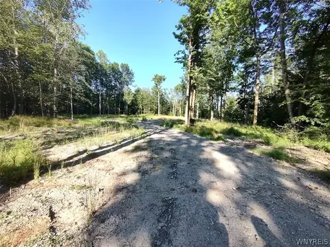 beach road, Evans, NY 14006 photo 2