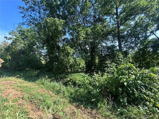 171 N Ellicott Creek Rd, Amherst, NY 14228