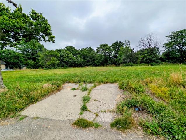 19 Oberlin Ave, Buffalo, NY 14211