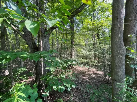 Cr-49, Caneadea, NY 14717 photo 8