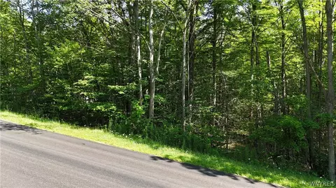 Cr-49, Caneadea, NY 14717 photo 6