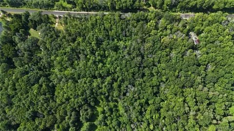 Cr-49, Caneadea, NY 14717 photo 4