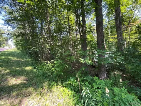 Cr-49, Caneadea, NY 14717 photo 9