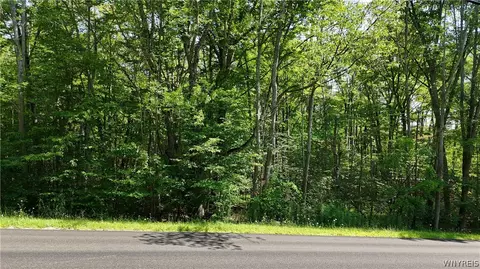 Cr-49, Caneadea, NY 14717 photo 3