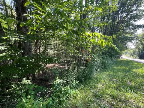 Cr-49, Caneadea, NY 14717 photo 11