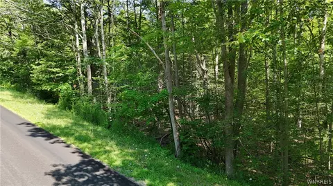 Cr-49, Caneadea, NY 14717 photo 5