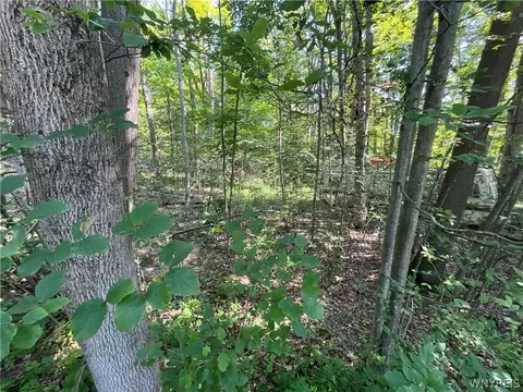 Cr-49, Caneadea, NY 14717 photo 13