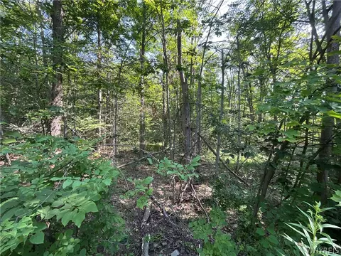 Cr-49, Caneadea, NY 14717 photo 12