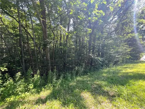 Cr-49, Caneadea, NY 14717 photo 10