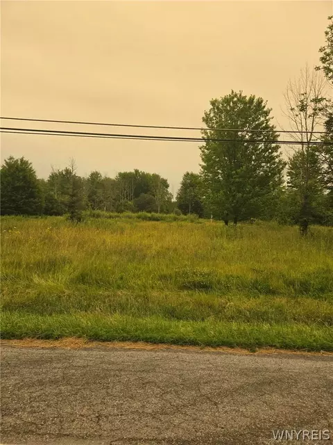 4923 Gasport Rd, Royalton, NY 14067