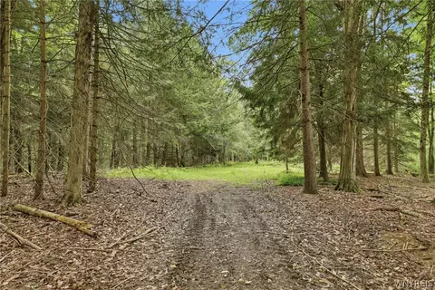 10788 Partridge Rd, Colden, NY 14080