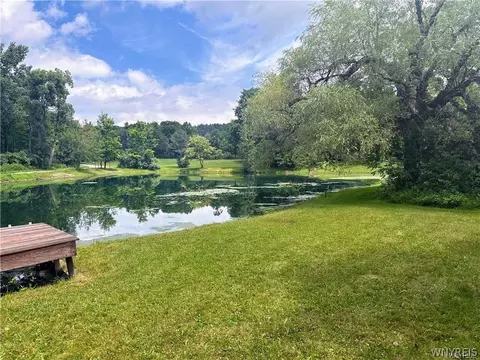 View/Area - 69 Foxtrail, Sheldon, NY 14167 photo 1 of 1