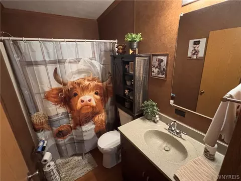 Bath - 105 Summerview, Arcade, NY 14009 photo 2 of 2