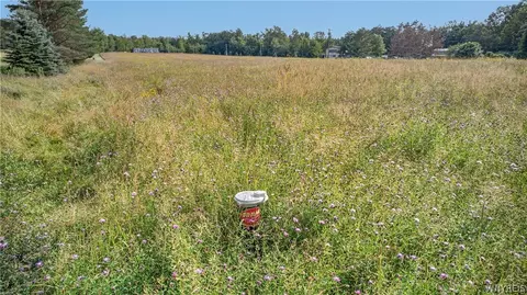 11189 Beech Tree Rd, Ashford, NY 14141 photo 17
