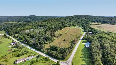 11189 Beech Tree Rd, Ashford, NY 14141 photo 3