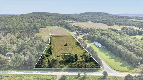 11189 Beech Tree Rd, Ashford, NY 14141 photo 2
