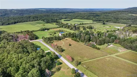11189 Beech Tree Rd, Ashford, NY 14141 photo 6