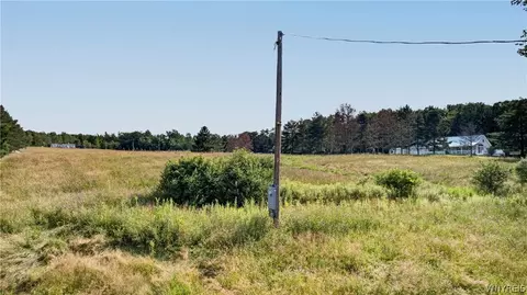 11189 Beech Tree Rd, Ashford, NY 14141 photo 16