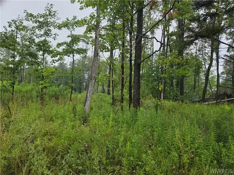 lot1 Darien Rd, Colden, NY 14033