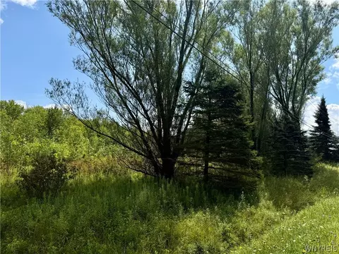 9259 Carpenter Rd, Eden, NY 14057