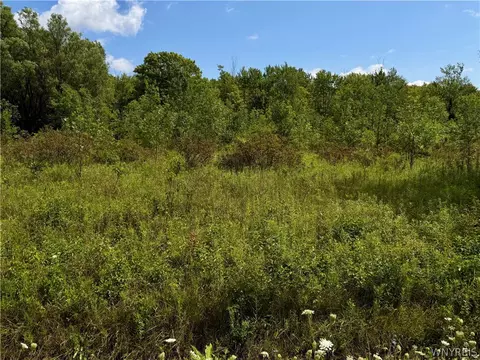 9259 Carpenter Rd, Eden, NY 14057 photo 2