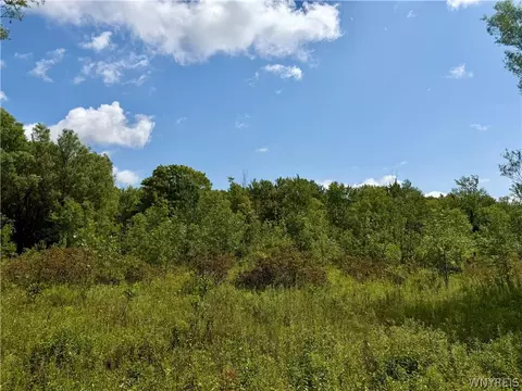 9259 Carpenter Rd, Eden, NY 14057 photo 3