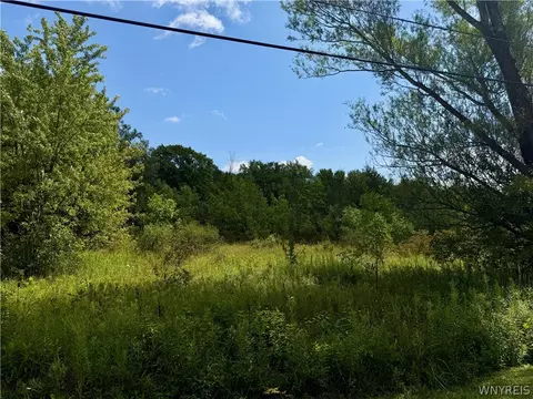 9259 Carpenter Rd, Eden, NY 14057 photo 4
