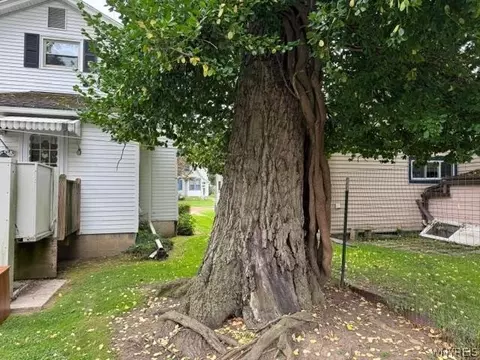 Exterior - 118 S 18th St, Olean, NY 14760 photo 6 of 9