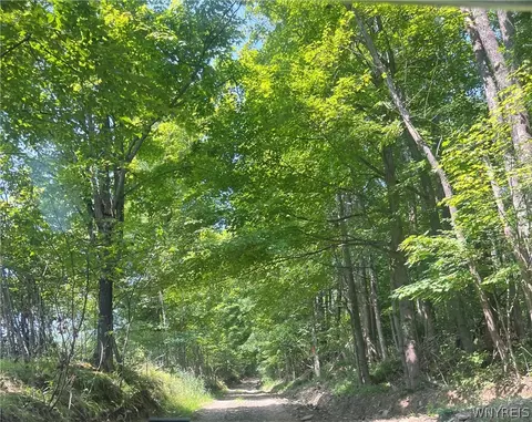 Longcore Road, Amity, NY 14813 photo 3