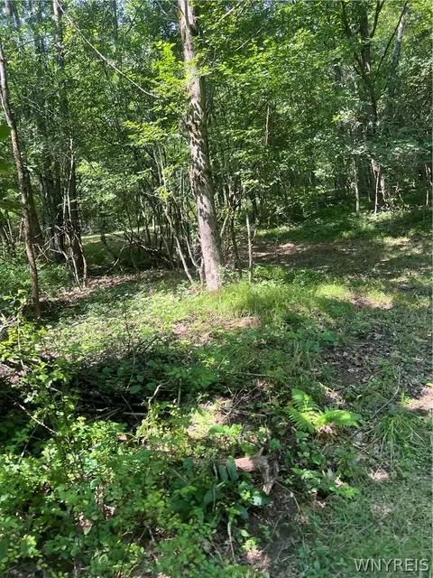 Longcore Road, Amity, NY 14813 photo 5