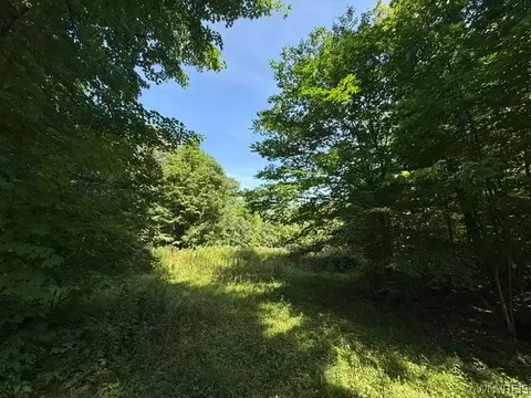 V/l Syler Road, Orangeville, NY 14569