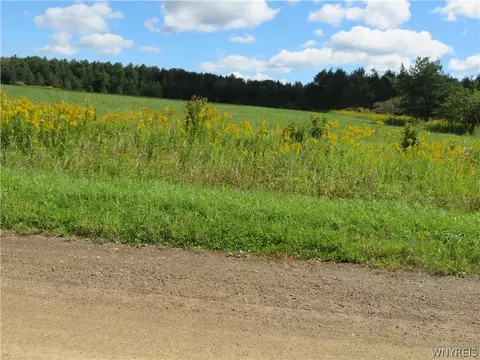 Glinderman Road, Caneadea, NY 14717 photo 5
