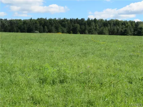 Glinderman Road, Caneadea, NY 14717 photo 2