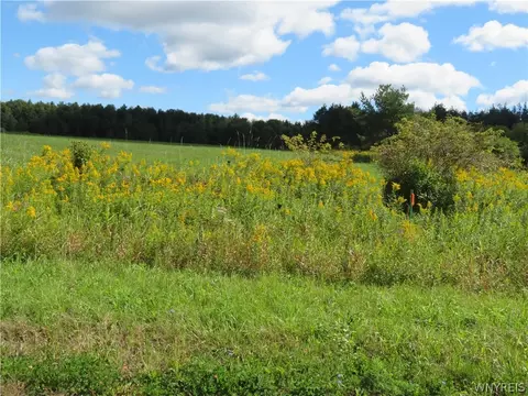 Glinderman Road, Caneadea, NY 14717 photo 4