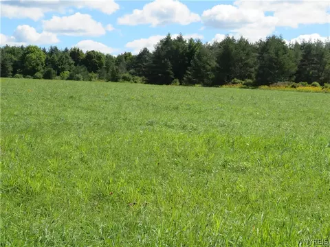 Glinderman Road, Caneadea, NY 14717 photo 3
