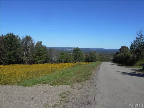 0 Dutch Hill Rd Lot #1, Ashford, NY 14171