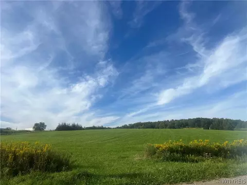 Edmunds, Freedom, NY 14065