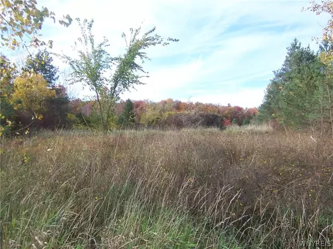 lot1 Colony Run, Alexander, NY 14005
