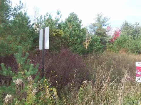 lot3 Colony Run, Alexander, NY 14005