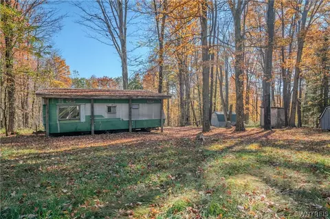 Vl Riga Road, Leon, NY 14726 photo 11