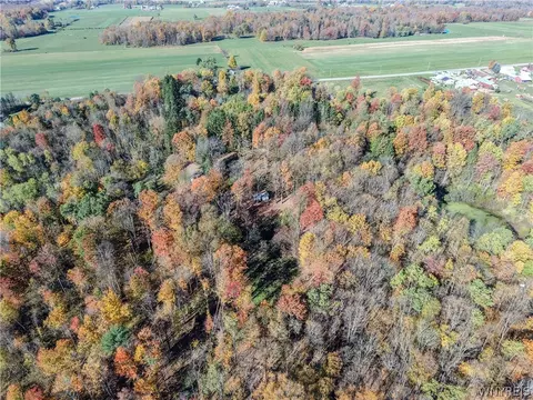 Vl Riga Road, Leon, NY 14726 photo 36